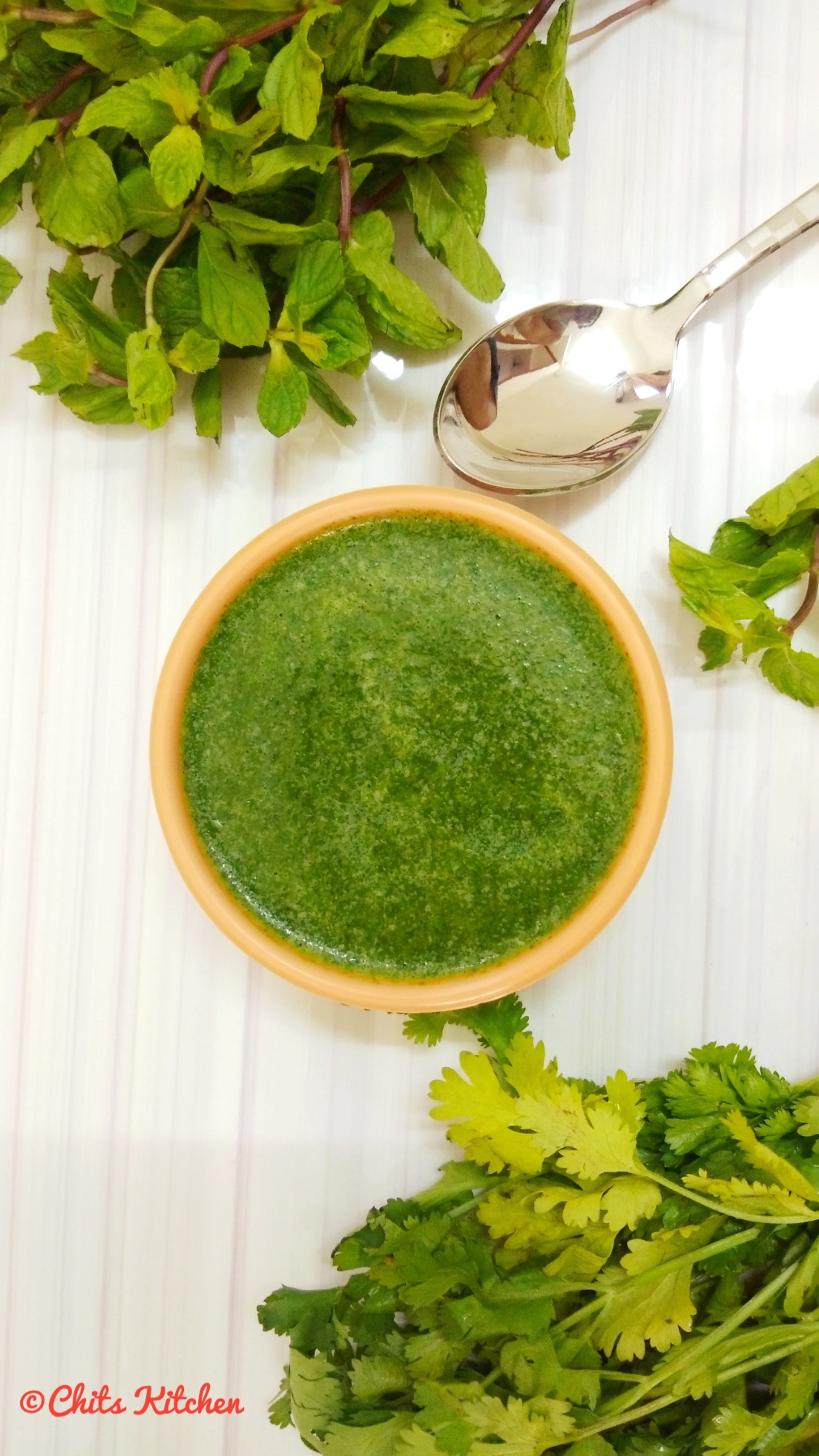 Coriander Mint Chutney (Dhania Pudina Chutney)