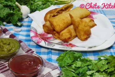 Veg Spring Rolls/Chinese Veg Spring Rolls